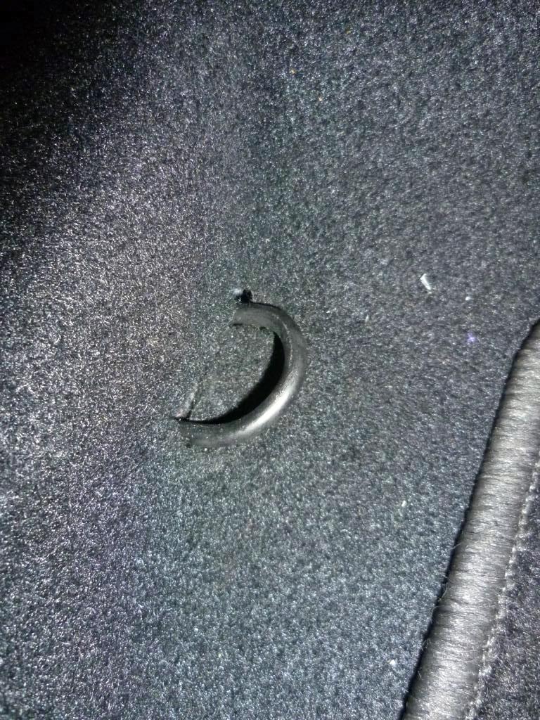 zulätzliche Zurrösen in Fond