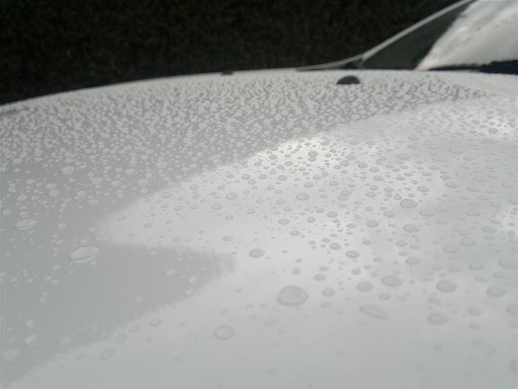 Ultrshine Protector